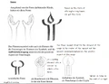 Explanation of the symbol
